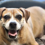 Betty A5568552 Downey